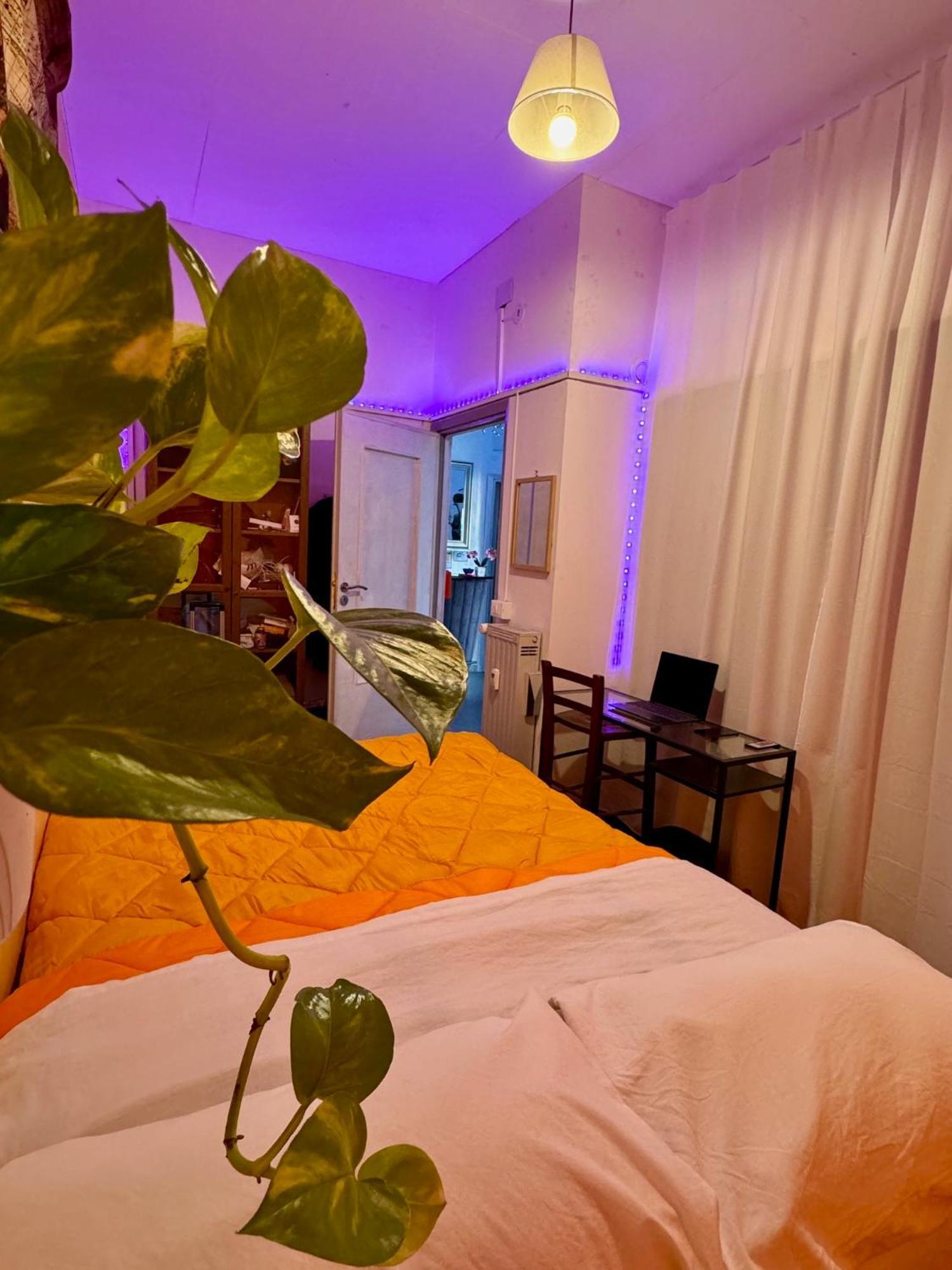 Romoli Rooms And Suites Exterior foto